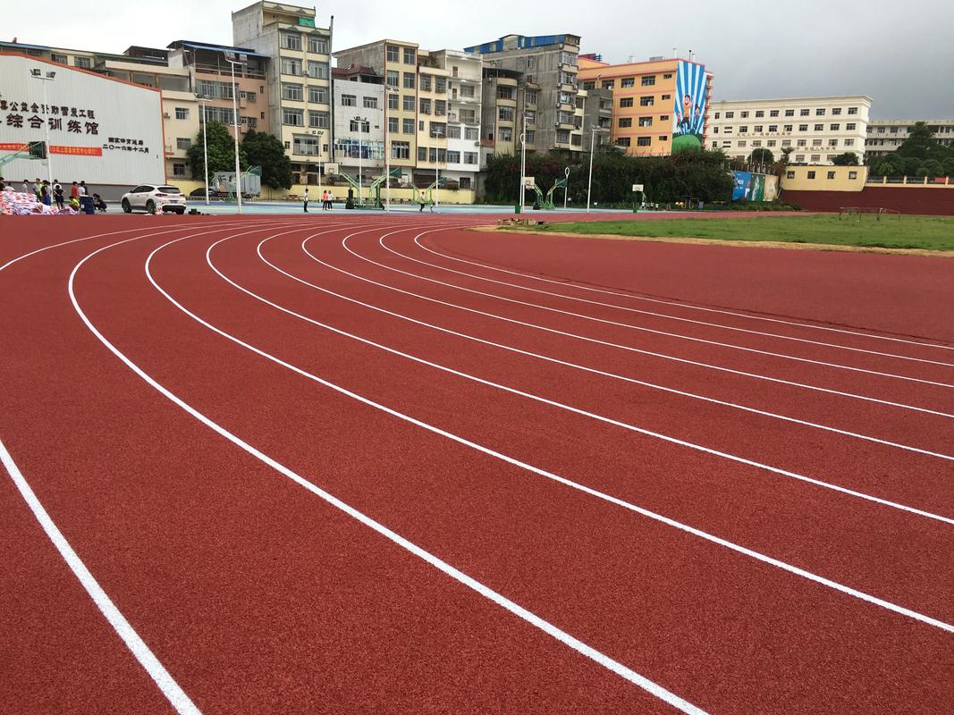 天津市EPDM颗粒塑胶跑道材料 - 厂家